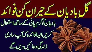 Wonderful Benefits of Badiyan Phool Anise Seed medicare Tips Hindi  UrduBarkaat ul Islaam [upl. by Caputto]