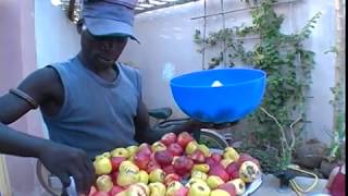 La pomme cajou à Kédougou  2006 [upl. by Valenka]