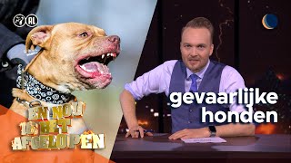 En nou is het afgelopen met gevaarlijke honden  De Avondshow met Arjen Lubach S4 [upl. by Gaspard806]