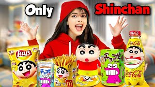 Using only SHINCHAN things for 24 Hours [upl. by Lissner]