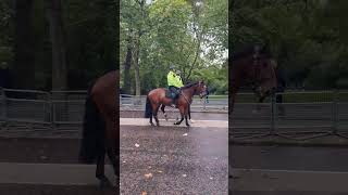 Mounted Police Birdcage Walk September 2024 [upl. by Weisbrodt]