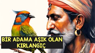 BİR ADAMA AŞIK OLAN KIRLANGIÇ 🕊 [upl. by Gates]