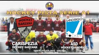 SERIE A1  13° giornata  Highlights CARISPEZIA Hockey Sarzana  ASD hockey Sandrigo 5  2 [upl. by Annot741]