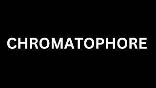 How to Pronounce quotChromatophorequot in English Language How To Say quot Chromatophorequot Chromatophore [upl. by Petulah]