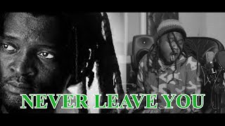 Lucky Dube  Never leave you  Lyric video [upl. by Brittni]