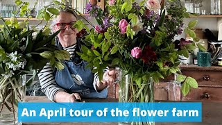 April tour of this Somerset Flower Farm [upl. by Pirnot652]