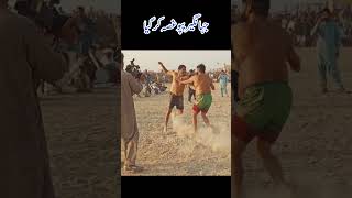 New Tamachy dar kabaddi match kabaddi shortvideo viralvideo livekabaddi [upl. by Nahama]