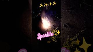 Sparkle ✨✨vlogs diwali fireworks festival shortsfeed youtubeshorts shorts [upl. by Rothstein]