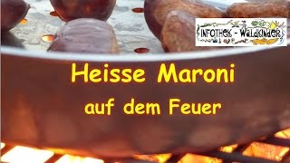 Nature Flow  Heisse Maroni auf dem Feuer selber machen [upl. by Htedirem804]