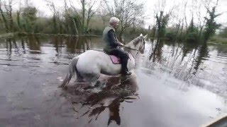 Flooding in Galway [upl. by Idnyc]