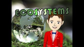 ECOSYSTEMS  The Science KID [upl. by Aelgna370]