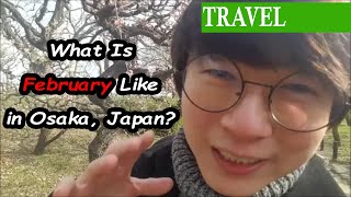 What Is Osaka Like In February [upl. by Jocko]