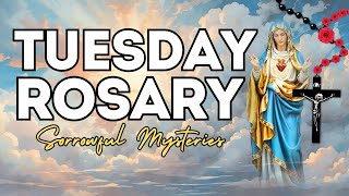 TODAY HOLY ROSARY SORROWFUL MYSTERIES ROSARY TUESDAY🌹NOVEMBER 5 2024 🌹 VIRTUAL holyosarytoday [upl. by Figge791]