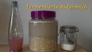 fermentierte Hafermilch selber machen [upl. by Aicemed]