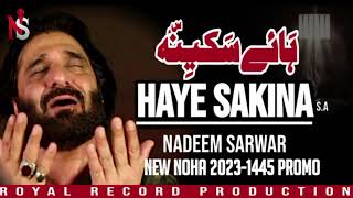 Nadeem Sarwar  Haye Sakinah  Nadeem Sarwar New Noha 20241446 [upl. by Silloc]