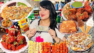 Rs 500 Street Food Challenge  Gwalior Food Challenge [upl. by Enaerb]