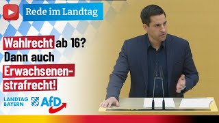 Löw Wahlrecht ab 16 Dann auch Erwachsenenstrafrecht [upl. by Adyht]