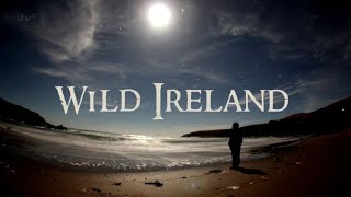 Wild Ireland with Christine Bleakley  Episode 5  Dingle Bay  2015 HD [upl. by Yasdnyl30]