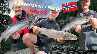 Laksefiskeri i Norge  dag 66 [upl. by Bevus]