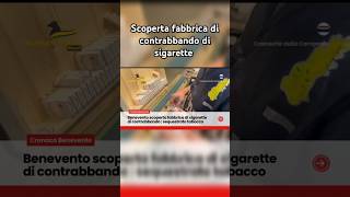 Benevento scoperta fabbrica di sigarette di contrabbando  sequestrato tabacco [upl. by Ahsekyw]