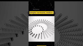 😱Simple harmonic motion science experiment viral shorts [upl. by Amoakuh514]