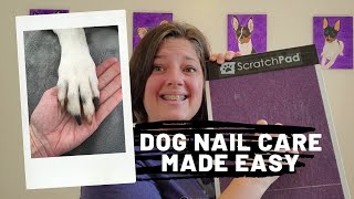 The Easiest Way to Trim Your Dogs Nails [upl. by Nortyad154]