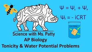 AP Tonicity and Water Potential [upl. by Ebag]