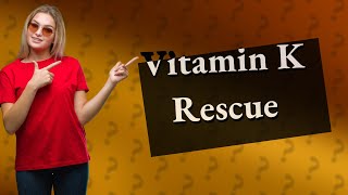 Can vitamin K stop internal bleeding in dogs [upl. by Nara]