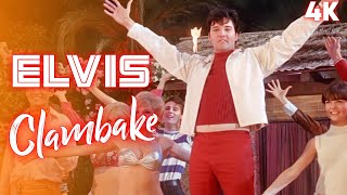 4K Elvis Presley – quotClambakequot 1967 Original Soundtrack [upl. by Ibbetson]