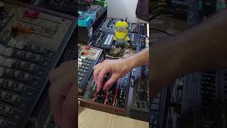 Behringer Grind  Great Sounding Synth synthesizer behringer electronicmusic [upl. by Ij]