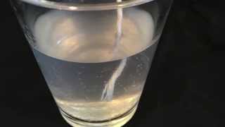 Growing Borax Crystals  Science Fair Experiment [upl. by Milano]