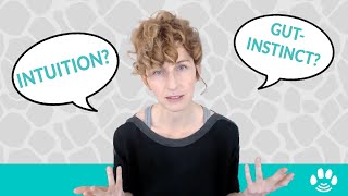 What Does Being Intuitive Mean Intuition from a professional animal communicator [upl. by Oilasor]