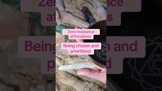 ✨Zero resistance affirmations✨to be chosen and prioritized with one minute heart chakra cleanse [upl. by Ackerman]