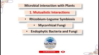 Mutualistic Interactions Microbial interaction with plants mutualism microbiology plant [upl. by Aihsikal]