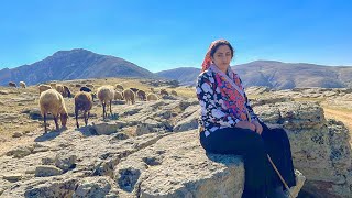 IRAN nomadic life  daily routine village life of Iran  Nomadic lifestyle of Iran [upl. by Rigby]