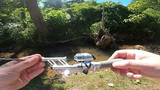 Testing out the ProFISHiency Tiny Pocket Combo shorts creekfishing profishiency [upl. by Daza]