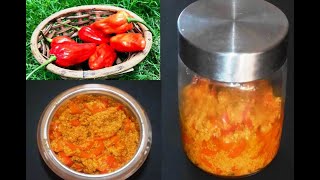 ভোট জলকীয়া আচাৰ I Bhut Jolokia Pickle I Ghost Chilli Pickle I Famous Food of Assam [upl. by Kawai980]