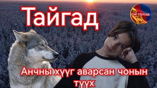 Хавханд орсон хүүг аварсан чонын түүх Гоё Түүхүүд Goy tuuhuud mongol heleer kino duu barimtat [upl. by Etienne110]