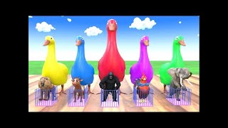 Long Slide Game With Elephant Gorilla Buffalo Hippopotamus Tiger  3d Animal Game  Funny 3d Animals [upl. by Suedaht]