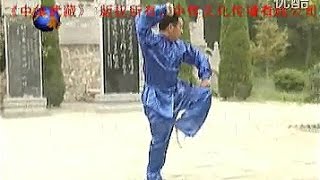 Shaolin Kung Fu Combat Styles 3 small flood form 小洪拳 xiao hong quan abridged [upl. by Seyer]