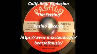 Calif Soul Explosion  The Feeling [upl. by Nnawtna171]