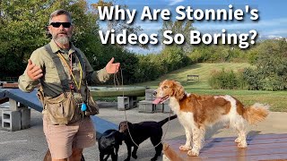 Why Are Stonnies Dog Training Videos So Boring [upl. by Hurff]