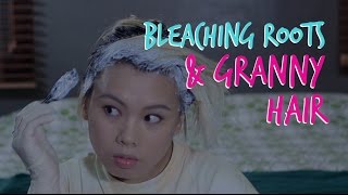 How to Bleach Your Roots and Get Silvery Granny Hair [upl. by Abram]