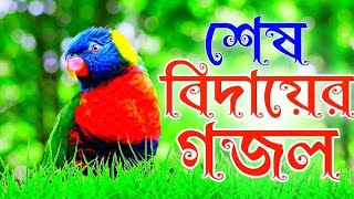 2024 Sera Gojol  Kobor Tomay Dakbe Jedin  করব তোমায় ডাকবে যেদিন  বাংলা গজল [upl. by Nodlehs]