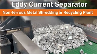 Eddy Current Separator  NonFerrous Metal Shredding amp Recycling Plant [upl. by Rednaxela929]