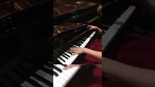 Liszt Totentanz w Valentina Lisitsa 22 [upl. by Kirstin]