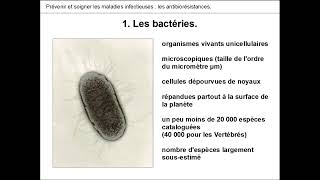 BACTERIES amp ANTIBIORESISTANCES 🦠💊  PARTIE 1 [upl. by Aiyram]