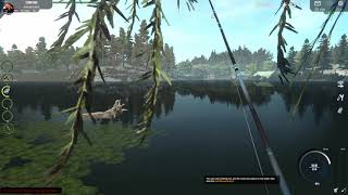 Professional Fishing Tutorial 11 How to catch Zander on the second map [upl. by Ettevi]