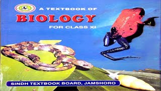 84 LIFE CYCLE OF ZYGOMYCOTA  CHAPTER 8KINGDOM FUNGI  FIRST YEAR BIOLOGY [upl. by Lem]