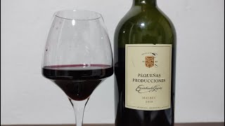 0206  Vinho Escorihuela Gascón Pequeñas Producciones Malbec 2019 [upl. by Ynohtnaed109]